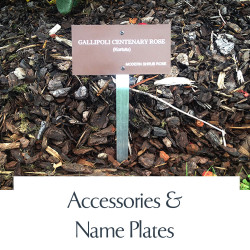 Accessories & Name Plates